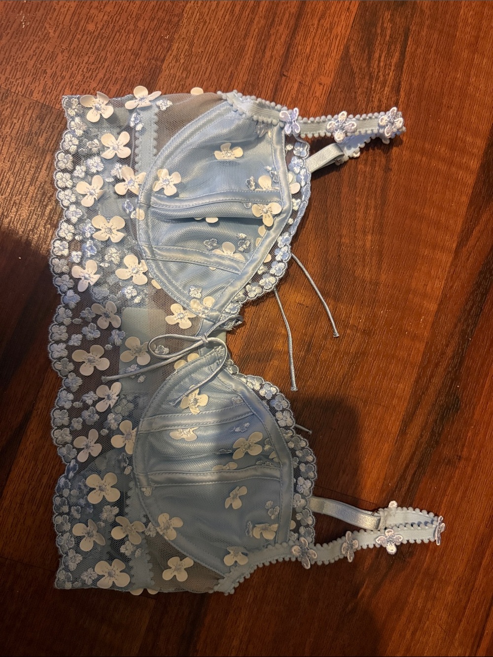 For Love And Lemons Sky Blue Floral Appliqué Lace Underwire Bra